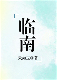 臨南小说封面