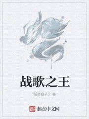 戰歌之王小说封面